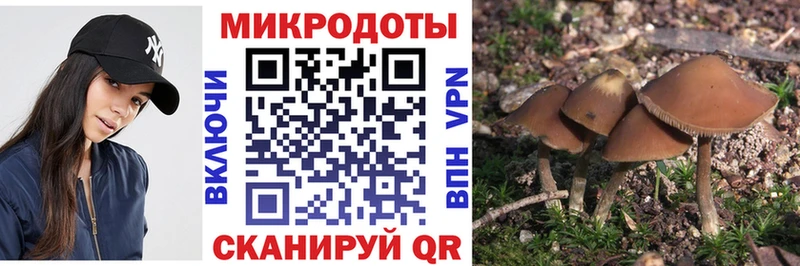 где купить наркотик  Медынь  kraken ТОР  Псилоцибиновые грибы MAGIC MUSHROOMS 